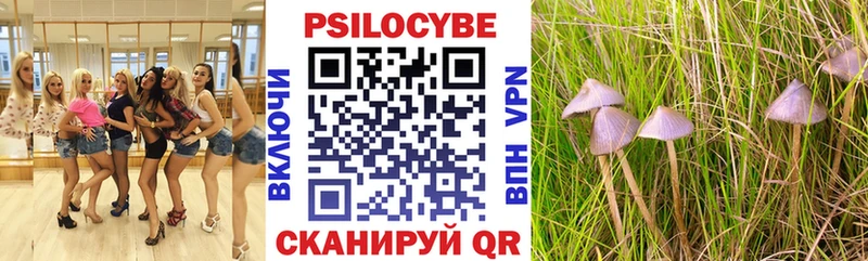 Галлюциногенные грибы Cubensis  Купить закладки  Тамбов 